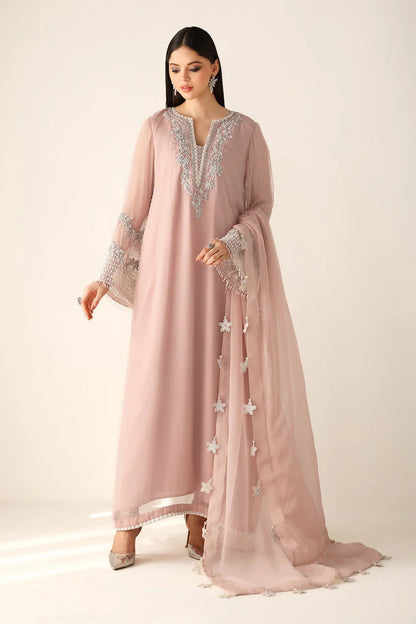 Barouqe Chiffon Embroidered