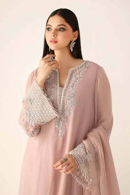 Barouqe Chiffon Embroidered